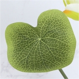 ロータスブッシュ | BACKYARD FAMILY | 詳細画像16