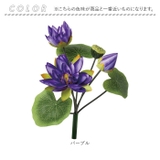 ロータスブッシュ | BACKYARD FAMILY | 詳細画像17