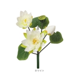 ロータスブッシュ | BACKYARD FAMILY | 詳細画像18