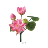 ロータスブッシュ | BACKYARD FAMILY | 詳細画像19