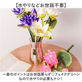 ロータスブッシュ | BACKYARD FAMILY | 詳細画像3