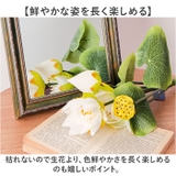 ロータスブッシュ | BACKYARD FAMILY | 詳細画像4