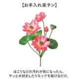 ロータスブッシュ | BACKYARD FAMILY | 詳細画像6