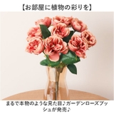 ガーデンローズブッシュ | BACKYARD FAMILY | 詳細画像2