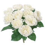 ガーデンローズブッシュ | BACKYARD FAMILY | 詳細画像12