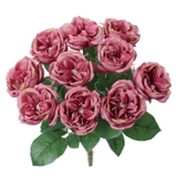 ガーデンローズブッシュ | BACKYARD FAMILY | 詳細画像13