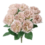 ガーデンローズブッシュ | BACKYARD FAMILY | 詳細画像14