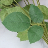 ガーデンローズブッシュ | BACKYARD FAMILY | 詳細画像15