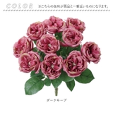 ガーデンローズブッシュ | BACKYARD FAMILY | 詳細画像16