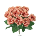 ガーデンローズブッシュ | BACKYARD FAMILY | 詳細画像18