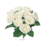 ガーデンローズブッシュ | BACKYARD FAMILY | 詳細画像19