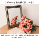 ガーデンローズブッシュ | BACKYARD FAMILY | 詳細画像4