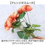 ガーデンローズブッシュ | BACKYARD FAMILY | 詳細画像5