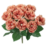 ガーデンローズブッシュ | BACKYARD FAMILY | 詳細画像9