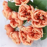 ガーデンローズブッシュ | BACKYARD FAMILY | 詳細画像10