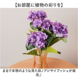 アジサイブッシュ | BACKYARD FAMILY | 詳細画像2