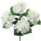 アジサイブッシュ | BACKYARD FAMILY | 詳細画像13