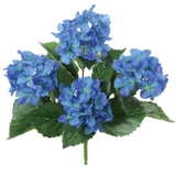 アジサイブッシュ | BACKYARD FAMILY | 詳細画像15