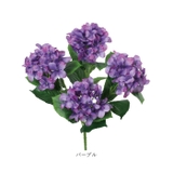 アジサイブッシュ | BACKYARD FAMILY | 詳細画像19