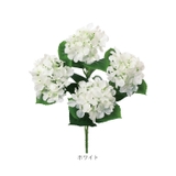 アジサイブッシュ | BACKYARD FAMILY | 詳細画像20