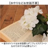 アジサイブッシュ | BACKYARD FAMILY | 詳細画像3