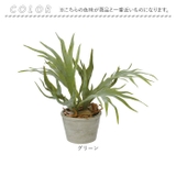 スタッキングホーンポット | BACKYARD FAMILY | 詳細画像11 