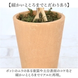 プラスチックリーフポット | BACKYARD FAMILY | 詳細画像5