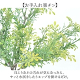 プラスチックリーフポット | BACKYARD FAMILY | 詳細画像6