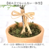 プラスチックリーフポット | BACKYARD FAMILY | 詳細画像7