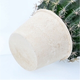 ボールサボテンポット | BACKYARD FAMILY | 詳細画像10 