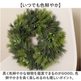 フォレストミックスリース | BACKYARD FAMILY | 詳細画像4