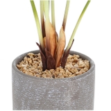 セメントポット | BACKYARD FAMILY | 詳細画像11