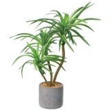 セメントポット | BACKYARD FAMILY | 詳細画像13