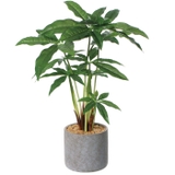 セメントポット | BACKYARD FAMILY | 詳細画像15