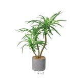 セメントポット | BACKYARD FAMILY | 詳細画像18