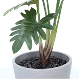 セロームポット | BACKYARD FAMILY | 詳細画像9 