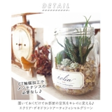 eclia エクリア 消臭アーティフィシャルグリーン CT触媒 | BACKYARD FAMILY | 詳細画像2 