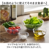 and 軽くて割れないレンジボウル4pcs | BACKYARD FAMILY | 詳細画像4