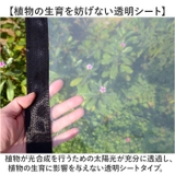 園芸防水シート ロープ付き 2m×4m | BACKYARD FAMILY | 詳細画像4