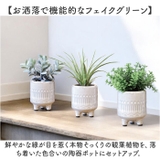 光触媒 ルピエ ポット | BACKYARD FAMILY | 詳細画像3 