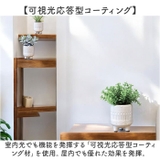 光触媒 ルピエ ポット | BACKYARD FAMILY | 詳細画像7 