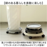 プランタースタンド | BACKYARD FAMILY | 詳細画像2