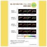 UTAET | BACKYARD FAMILY | 詳細画像12 