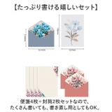 レターセット 便箋4枚+封筒2枚セット | BACKYARD FAMILY | 詳細画像5