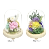 ガラスドームアレンジメントL | BACKYARD FAMILY | 詳細画像11