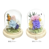 ガラスドームアレンジメントL | BACKYARD FAMILY | 詳細画像13