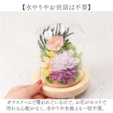 ガラスドームアレンジメントL | BACKYARD FAMILY | 詳細画像5