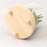 ガラスドームアレンジメントL | BACKYARD FAMILY | 詳細画像9