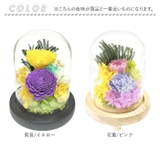 ガラスドームアレンジメントL | BACKYARD FAMILY | 詳細画像10