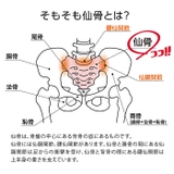 コシレッチ | BACKYARD FAMILY | 詳細画像6